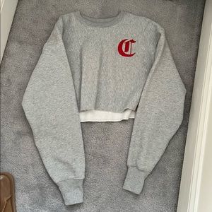 Super cute cropped grey embroidered crewneck sweatshirt